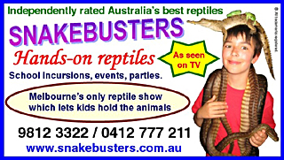 reptile shows